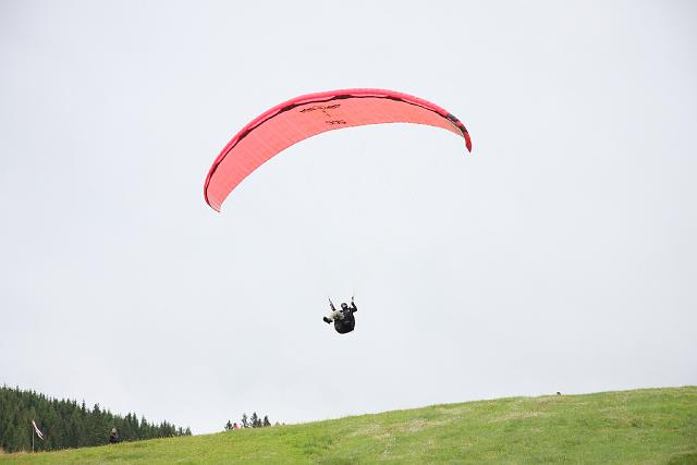 flife08_ 070.jpg